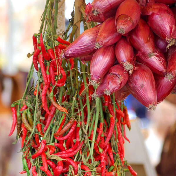 Campo de Fiori, Rome. Photo by Lisa van de Pol. Rent your home in Rome, Casa Cuore di Roma